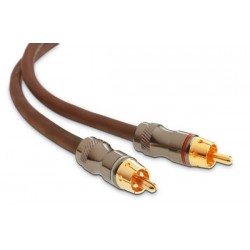 CONNECTIQUE FOCAL ER1